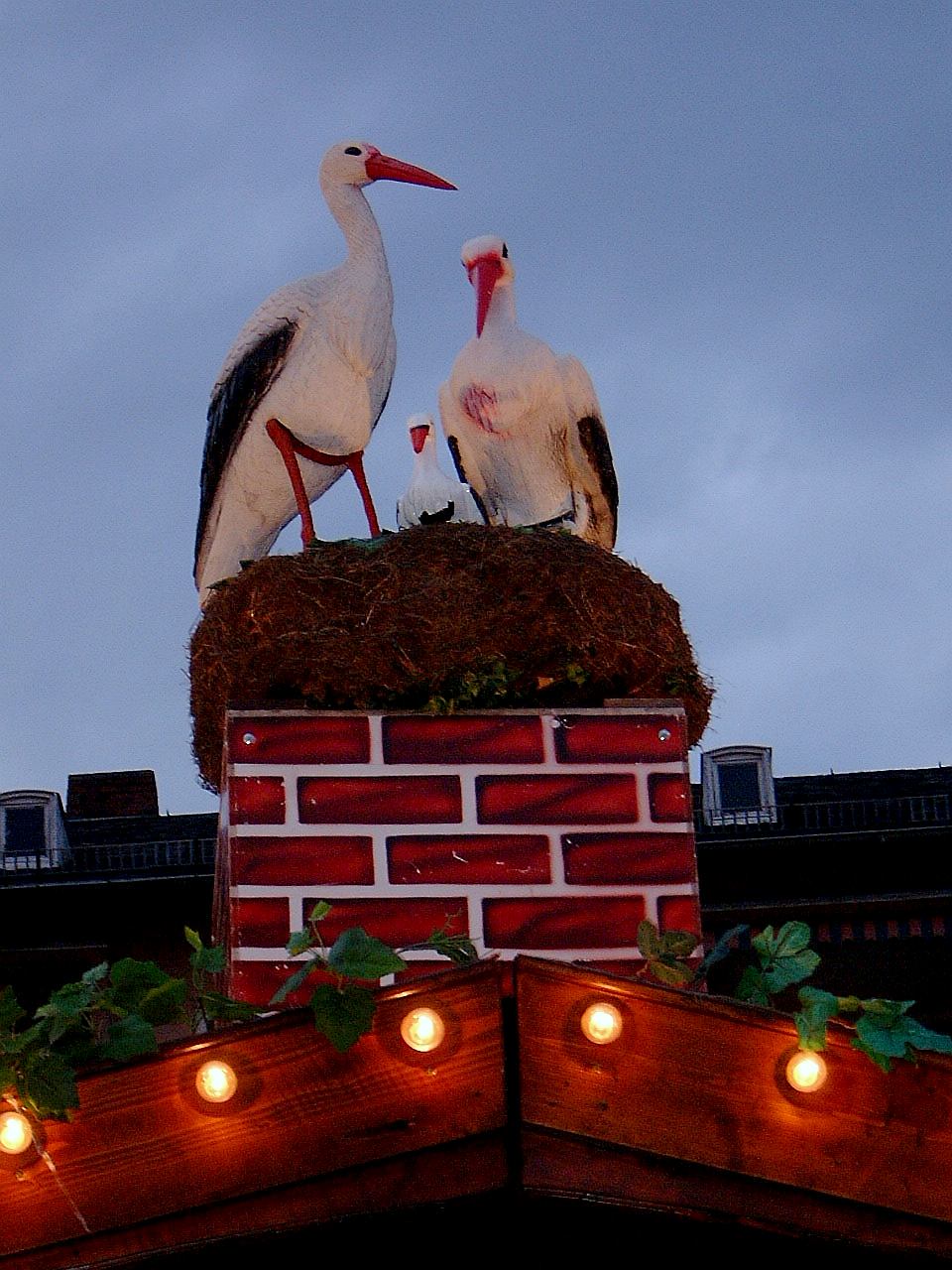 Der Storch auf dem Dach